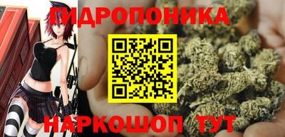индика Краснокаменск