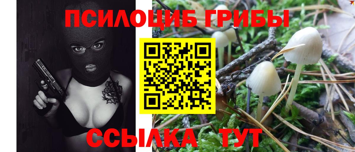 Галлюциногенные грибы Psilocybe  Вход с VPN  Чайковский 